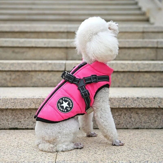 New Pet Jacket with Harness Dog Clothes - Warm and Stylish, pet lovers, pet gift